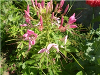 308e883f-Picture 6191.jpg